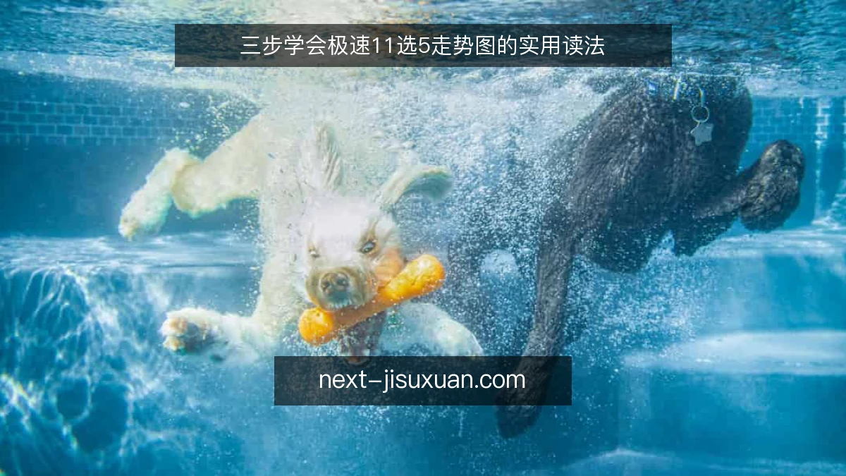 三步学会极速11选5走势图的实用读法