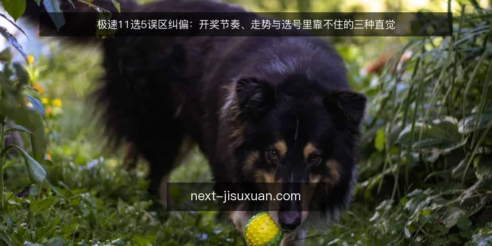 极速11选5误区纠偏：开奖节奏、走势与选号里靠不住的三种直觉 — 先看哪些信号值得盯 配图